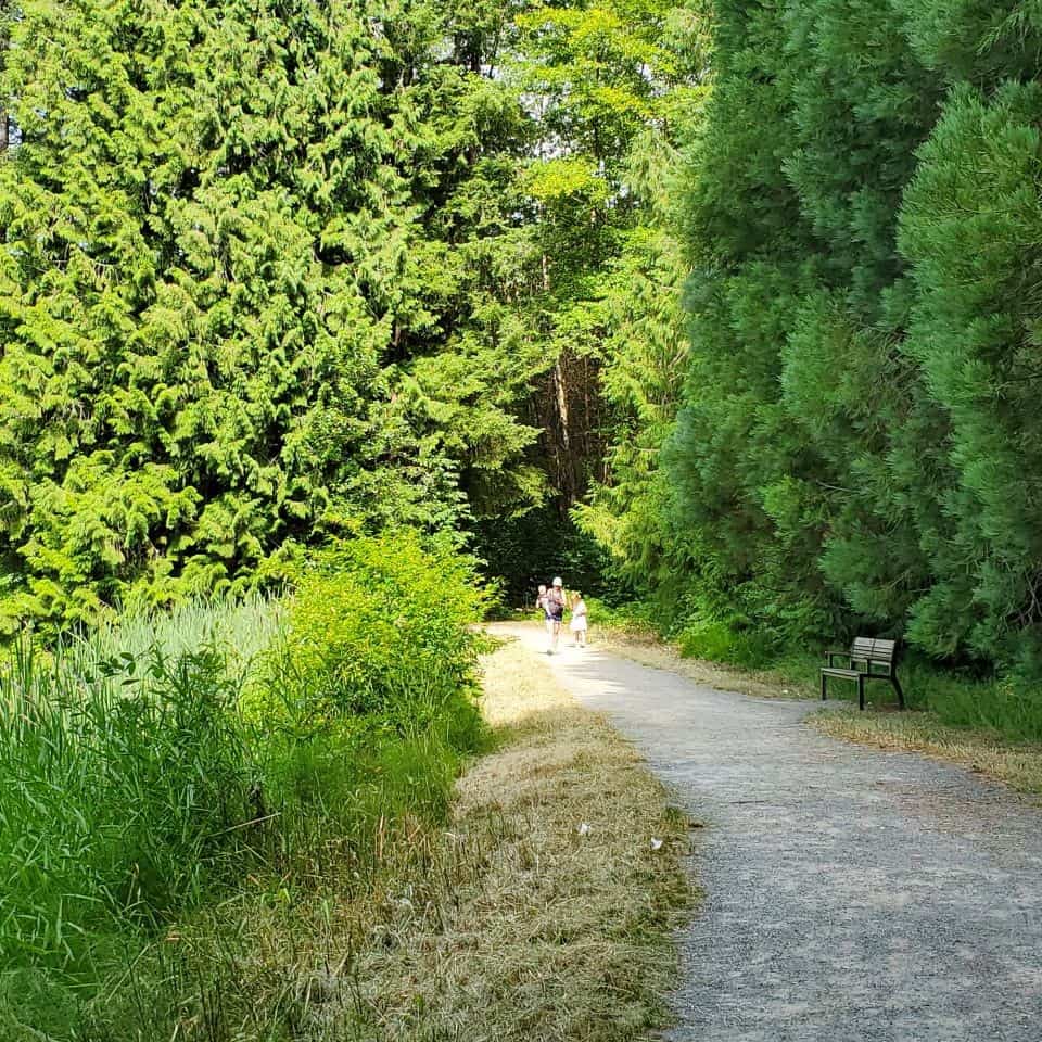 Godwin Farm Park in Surrey British Columbia provides an easy walking path.  This mom is carrying an infant while a young child walks beside her. A few benches around the park provide resting places if needed.