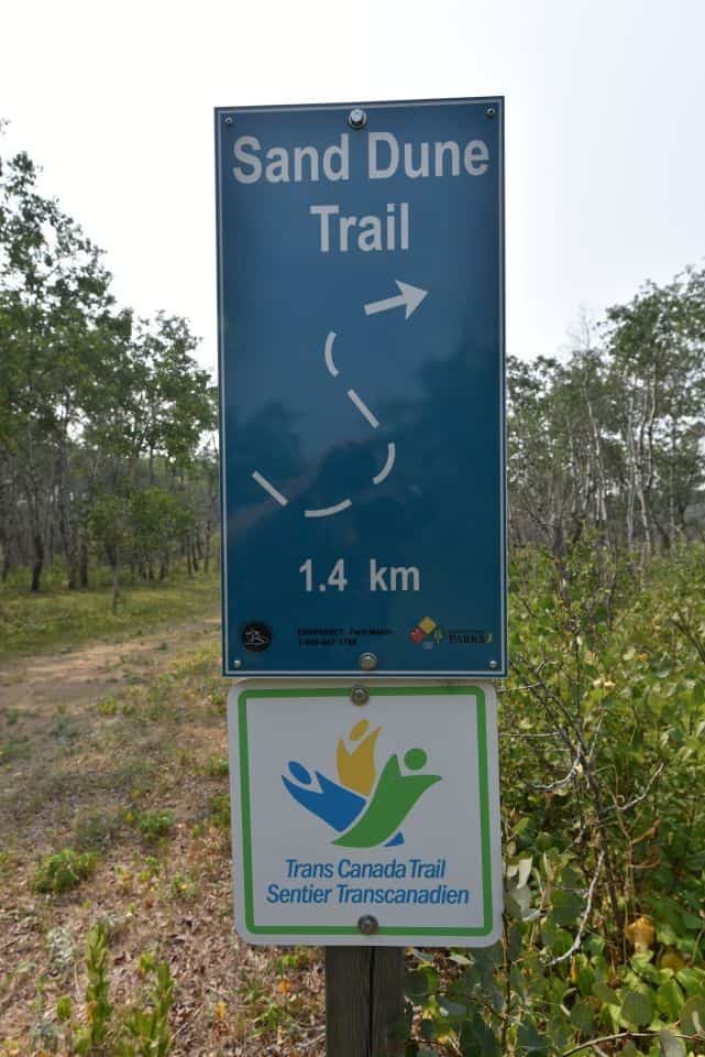 Good Spirit Lake Provincial Park features 39 km of trails, the most popular of which are the Trans Canada Trail (18 km) and the Dune Discovery Interpretive Trail (3 km return).