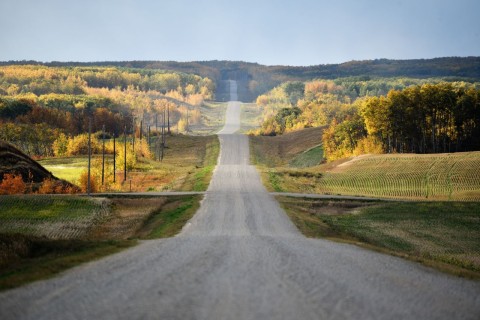 An undulating gravel road in the Canadian Prairies along the Trans Canada Trail network, illustrating long-distance cycling across open landscapes where terrain, wind, and distance shape the experience as much as the route itself.