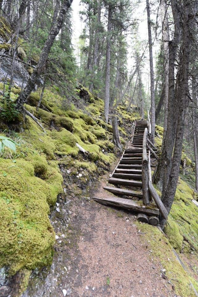 Staircases, suspension bridges, and other infrastructure make traversing the challenging mountain terrain of Kananaskis Country Alberta a joy to navigate for hikers.