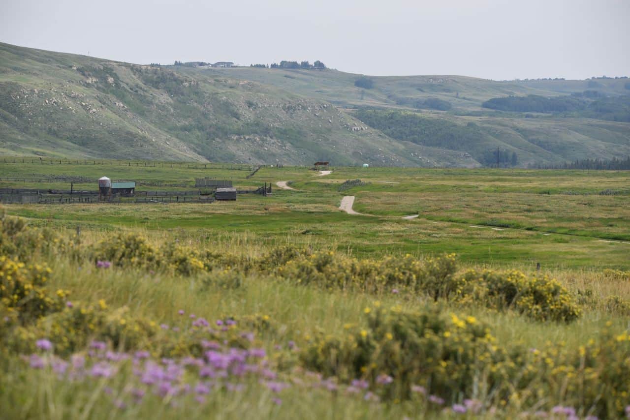 The trails of Glenbow Ranch Provincial Park offer visitors a chance to learn about ranching on the prairies from interpretive signage along the paths and in the Visitors Center.