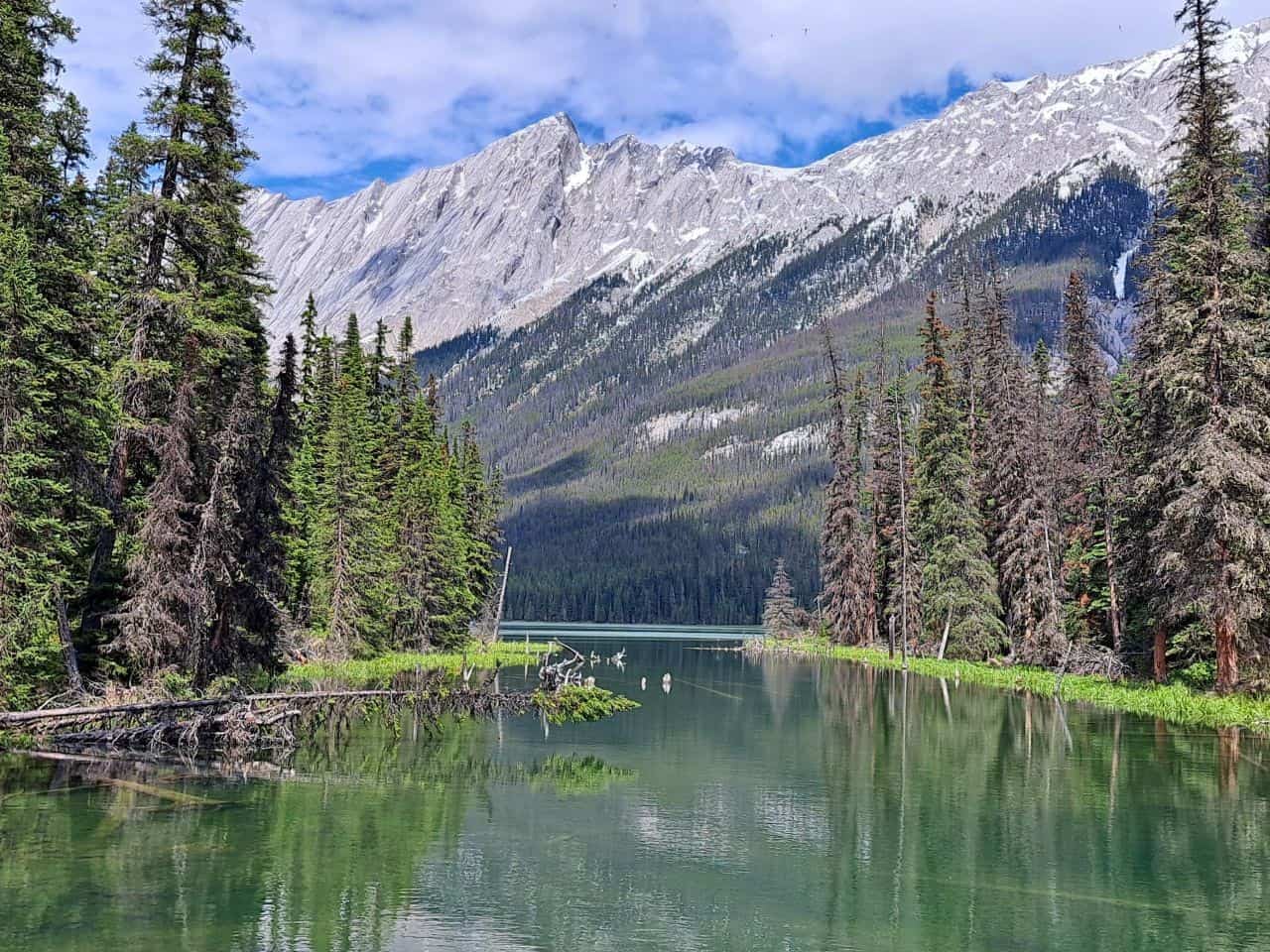 Beaver Lake is a beautiful wilderness lake on the Jacques Lake Trail that is a fishing hot spot