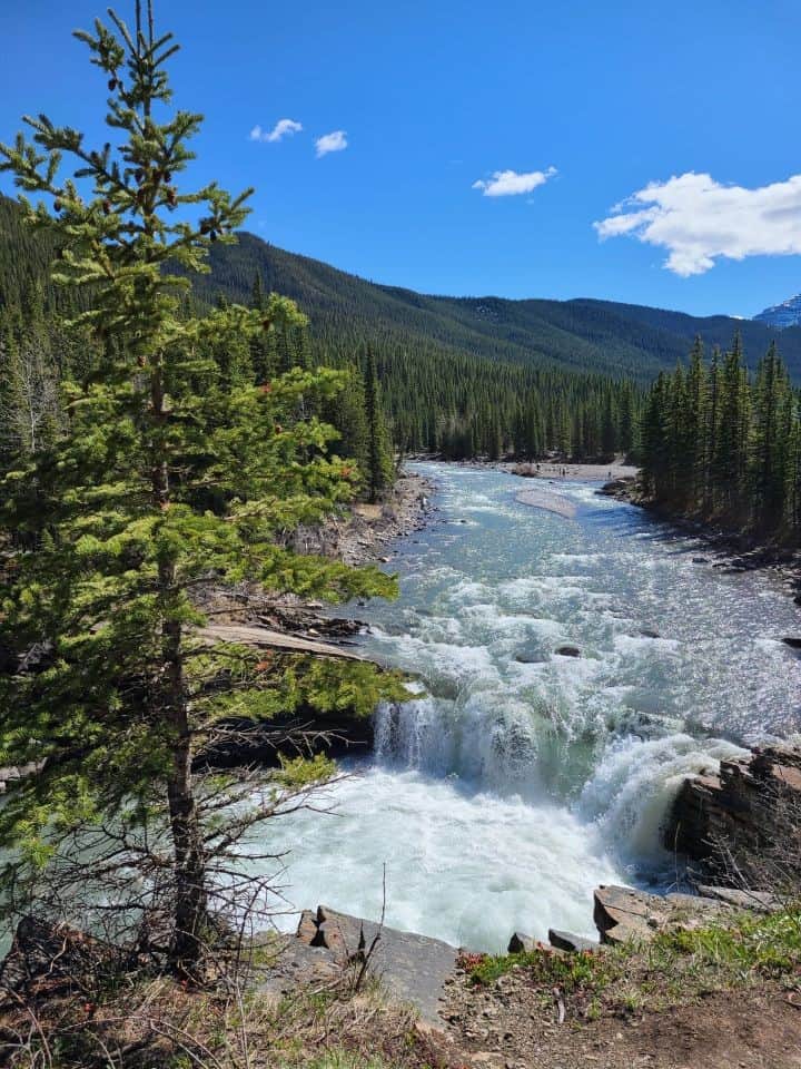 Sheep River Falls in Southern Alberta Canada in the backcountry forests of Kananaskis