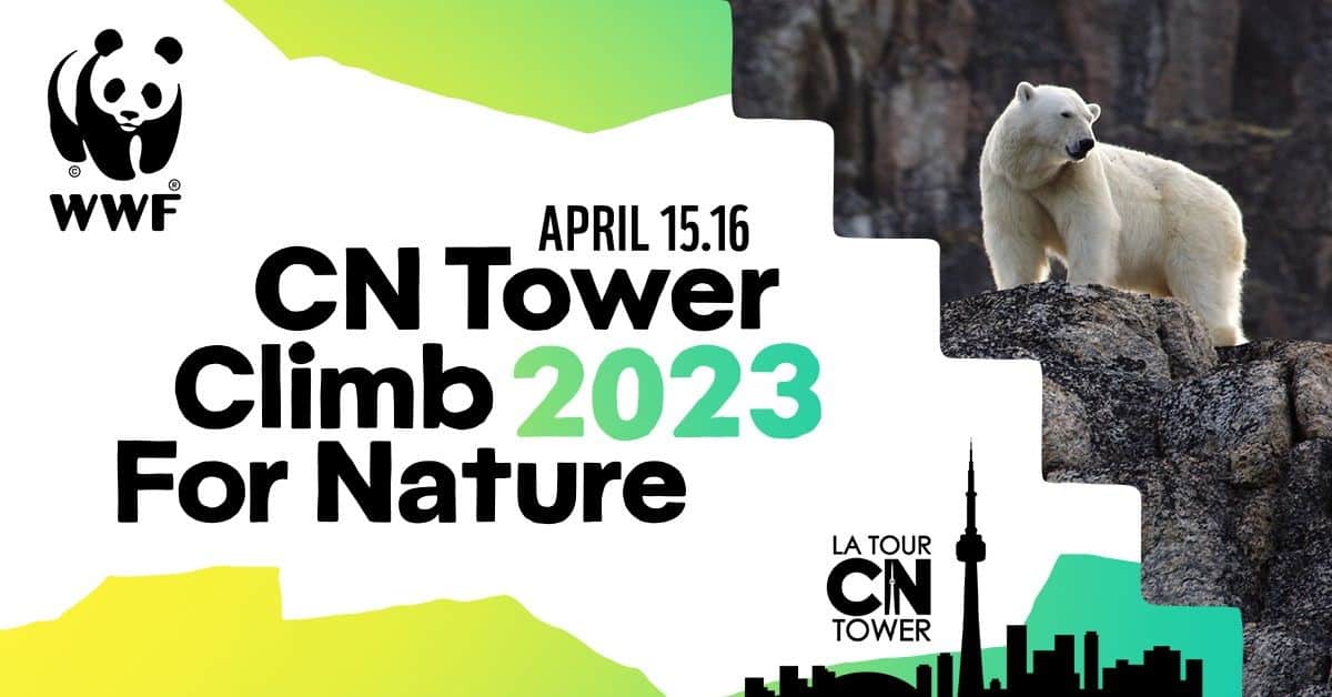 Each spring thousands of participants raise money for wildlife across Canada during the World Wildlife Fund's CN Tower Climb for Nature in Toronto, Ontario, Canada.