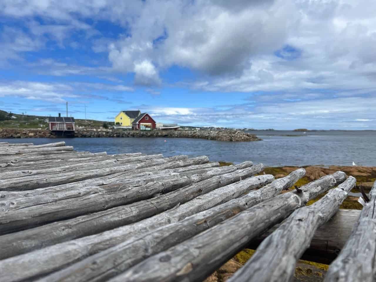 From almost every corner of Fogo Island are fantastic views of the coastline and marine life.