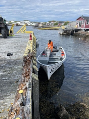 The local fisherman on Fogo Island arrives with his daily catch at the local harbour wharf in Newfoundland Canada.