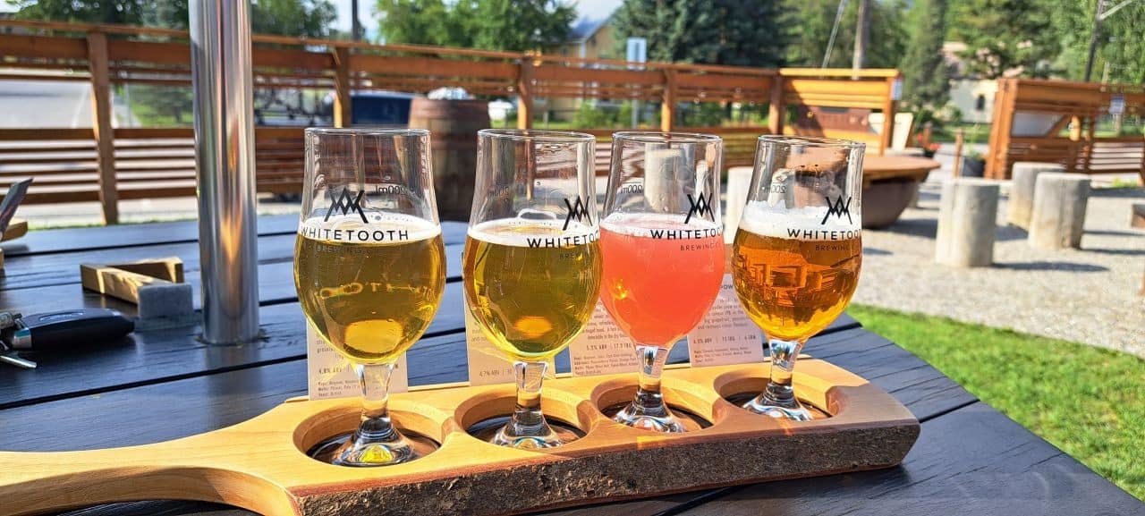 A selection of four different Whitetooth Brewing Co. craft beers to sample in Golden BC Canada