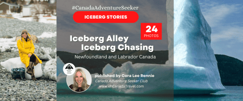 Iceberg-Stories