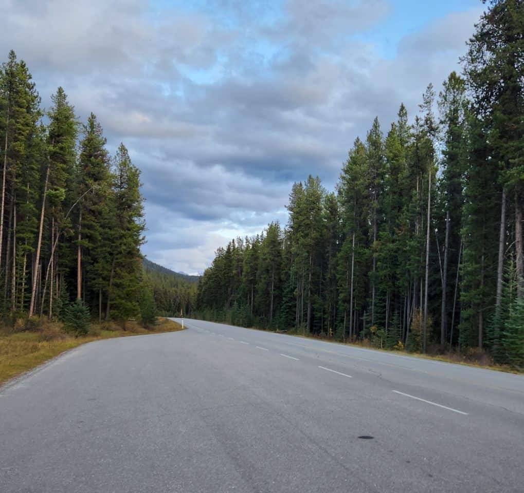 The Bow Valley Parkway in Alberta Canada is generally a well maintained road.