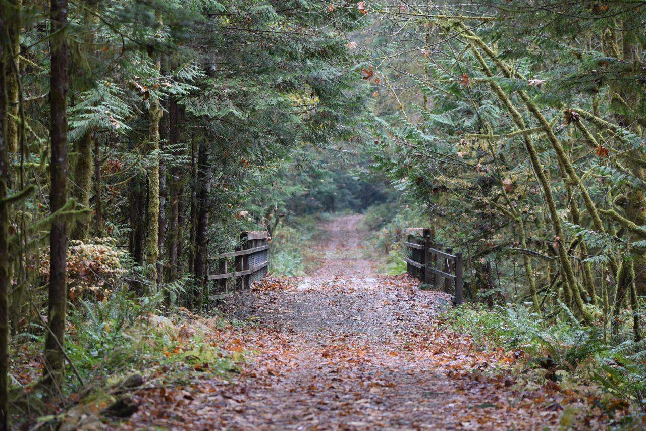 Vancouver Island's 129 km long Cowichan Valley Rail Trail traverses the peaceful, densely forested, remote feeling valley along the Cowichan River.
