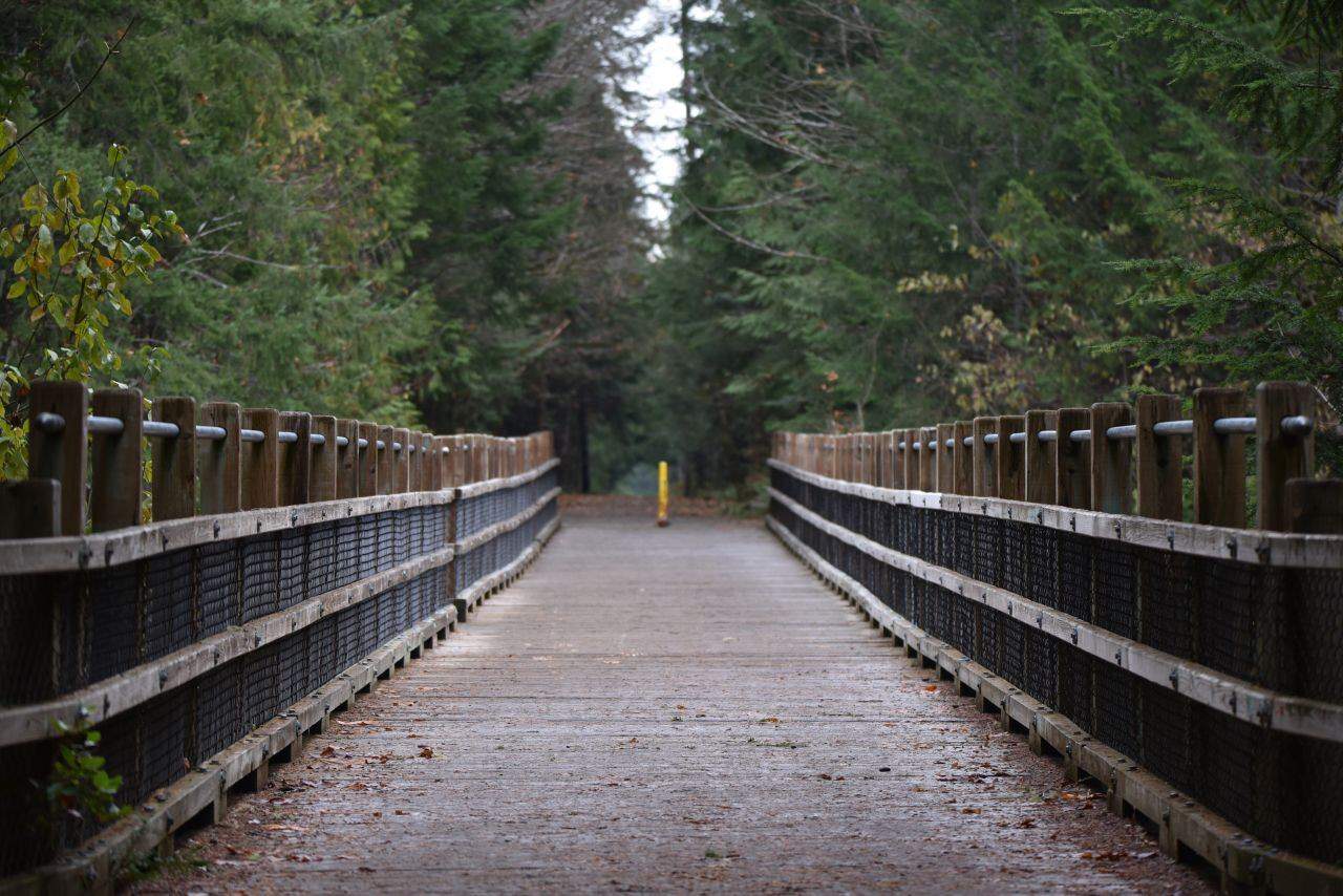 As a rail trail, Vancouver Island's Cowichan Valley Trail is wide, flat, and easy navigate, with eight trestle bridges to make river crossings easy and scenic.