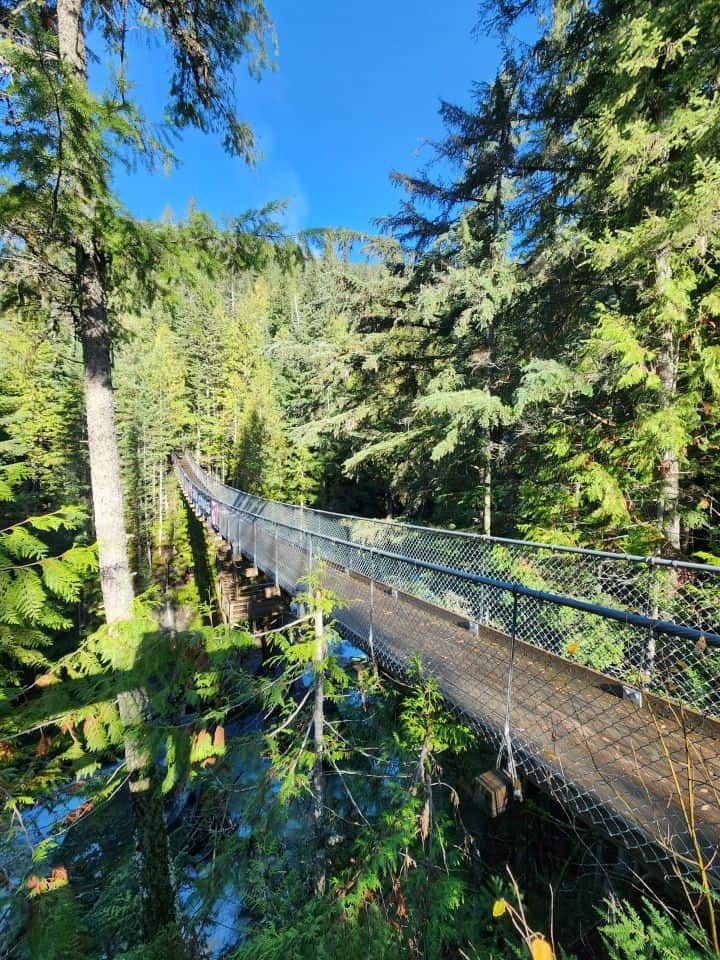Take a walk through the forests of B.C. and find your way to the Crazy Creek suspension bridge. Spanning 240ft over Crazy Creek in Malakwa British Columbia Canada.