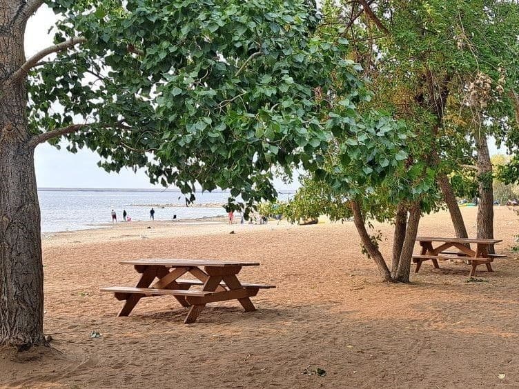 Trees provide welcomed shade for this beach picnic area at Kinbrook Island Provincial Park on Lake Newell Alberta