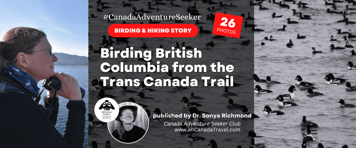 Birding British Columbia from the Trans Canada Trail