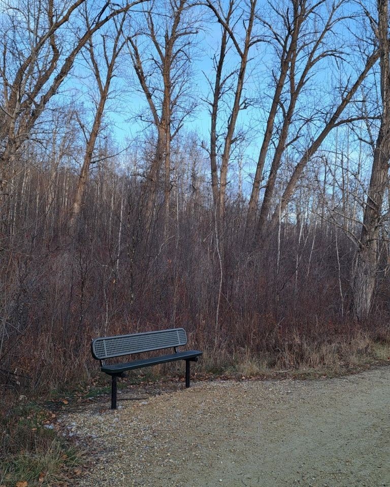 Thankfully, there are plenty of benches to rest at on the Devonian and River View Trails. With the moderately challenging and sometimes steep hills and long staircases, the benches provide hikers with a welcomed place to sit and take a break.