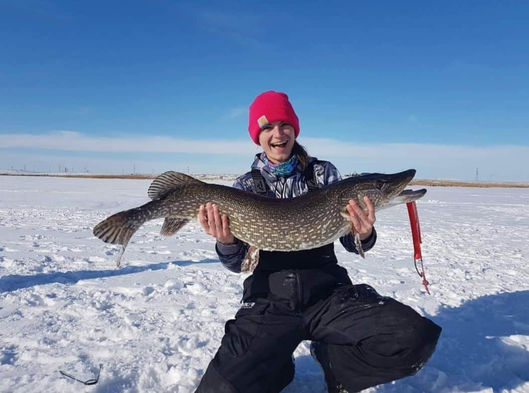 Ice fishing with friends in Alberta Canada during the winter. A large northern pike caught on a tip up while ice fishing