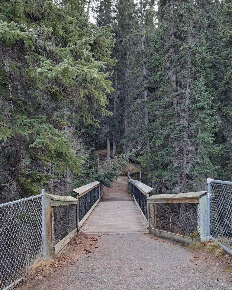 The bridge across Punchbowl Falls is the best spot to see the waterfall in Jasper National Park