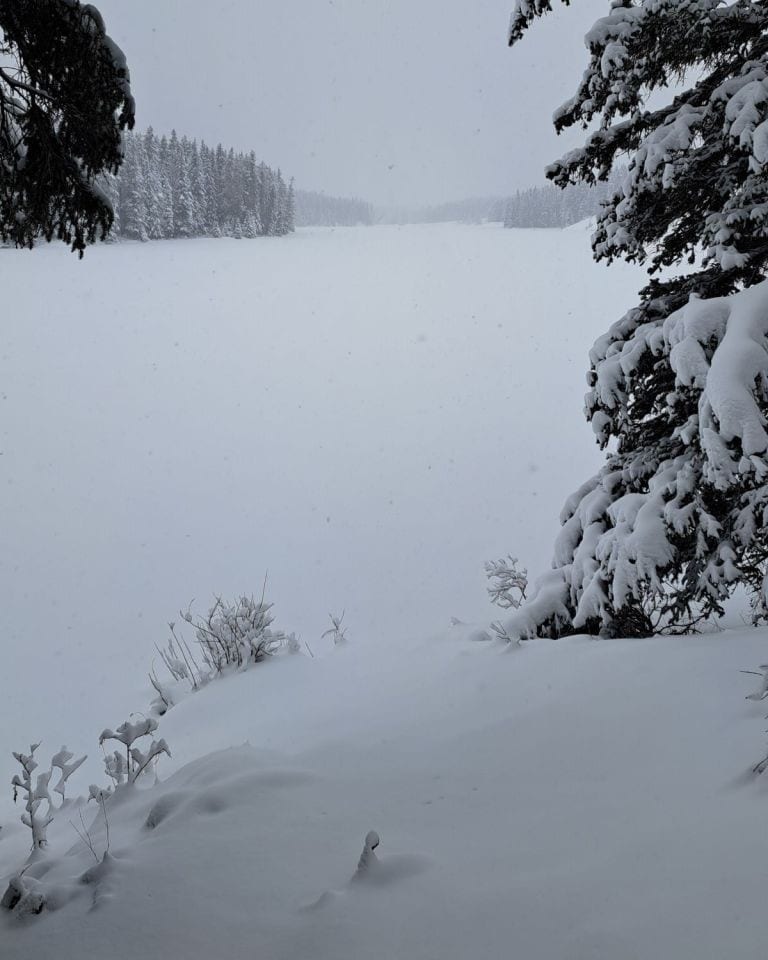 Fresh snow blankets the ground and covers Johnson Lake in during winter in Canada in the Rocky Mountains of Banff National Park.