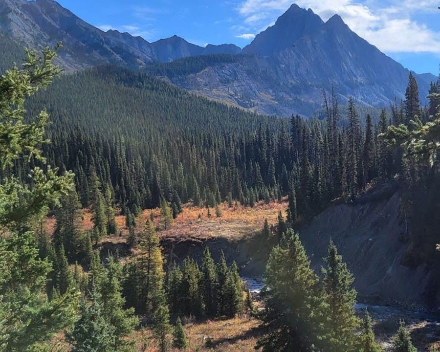 A sweeping view of a Canadian Rocky Mountain valley and surrounding mountain range near the Ink Pots in Johnston Canyon Banff