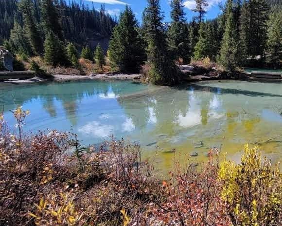 There are 5 aquamarine ponds that make up the Ink Pots in Johnston Canyon Alberta.