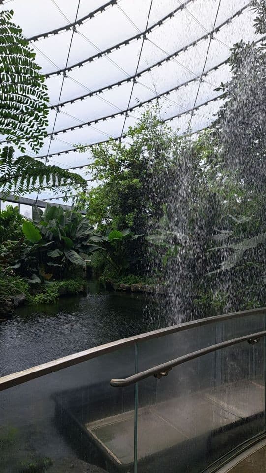 Looking through Canada's tallest indoro waterfall over the koi pond to the tropical gradens beyond at The Leaf in Winnipeg.