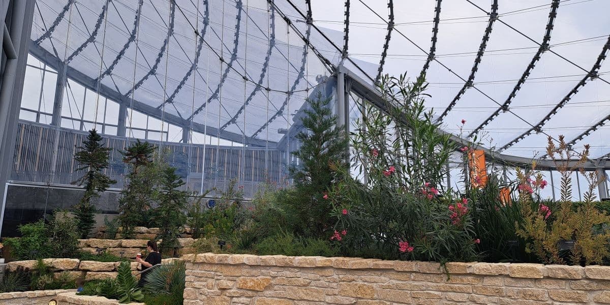 The Mediterranean Biome is the most fragant of the four biomes at The Leaf. Many herbs and fragrant flowers grow here yearround in Winnipeg Canada