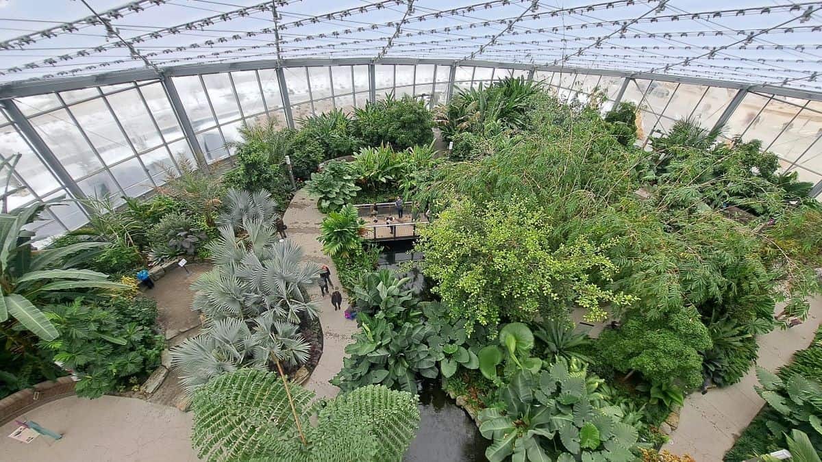 Looking down onto the Hartley & Heather Richardson Tropical Biome at the Leaf botanical garden in Winnipeg Manitoba