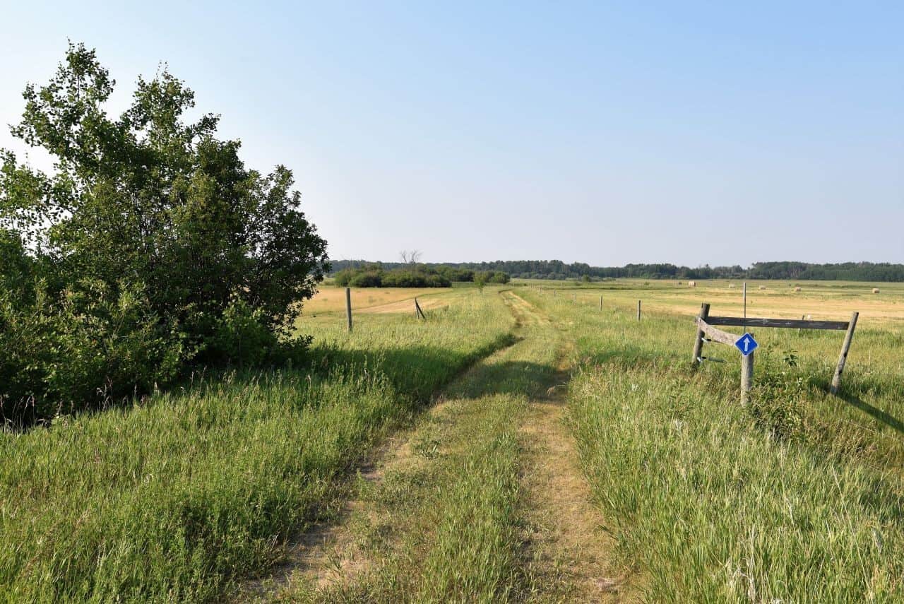 Wander along grassy farm tracks and quiet country roads on the Crow Wing Trail, where gentle hills and serene pastures capture the peaceful beauty of Manitoba’s prairie landscape. Experience the calming journey of this Canadian Camino.
