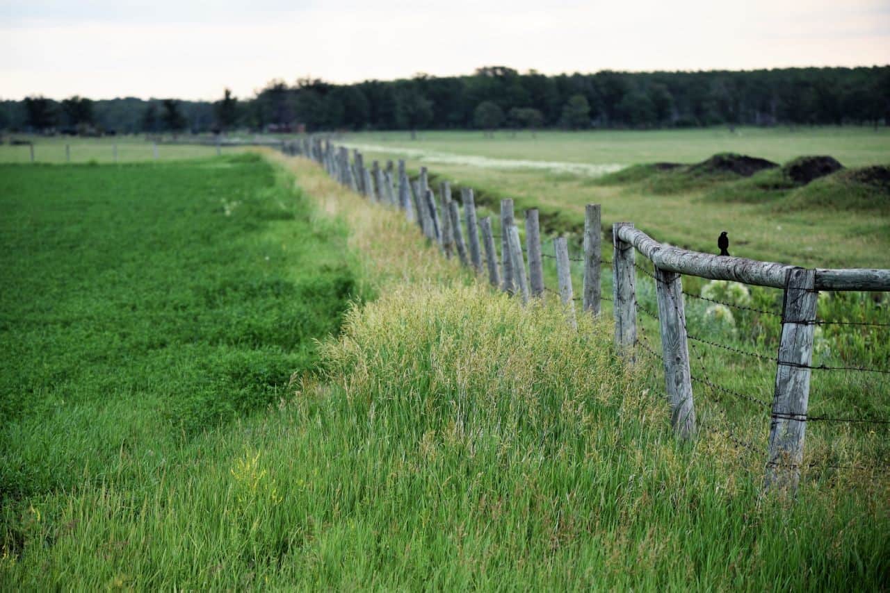Experience the expansive beauty of Manitoba’s prairies along the Crow Wing Trail/Chemin St. Paul. Discover wide-open landscapes, rich wildlife, and vibrant communities on this unique Canadian Camino pilgrimage route.