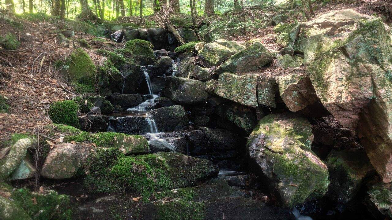 Waterfall on the Buck Lake hiking trail