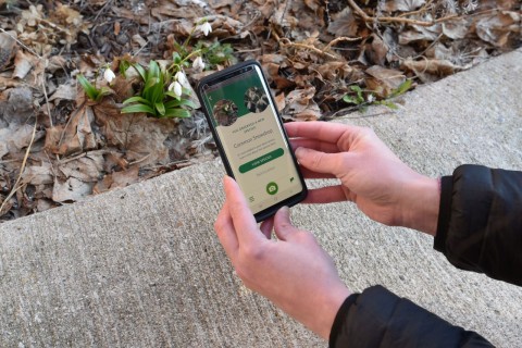 Seek by iNaturalist makes plant identification effortless—photograph a plant, upload it, and get instant results. A fun, easy way to connect with nature while travelling in Canada.