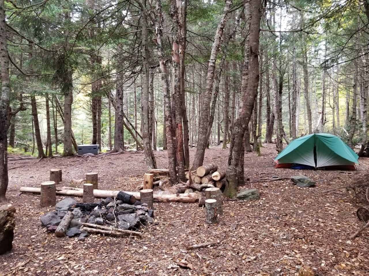 The Big Agnes Copper Spur 3 provided ample space and durability for our Canadian thru-hike. Its lightweight design and easy setup made it perfect for both wilderness and urban stealth camping.