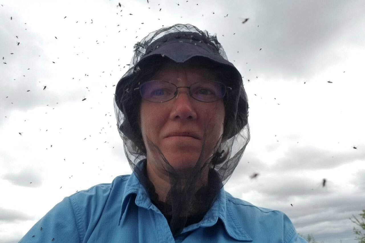 Sonya wears the Ben’s Invisinet bug net amidst a swarm of blackflies in Newfoundland’s Boreal forest. A lightweight, essential tool for staying sane during peak insect season on the Trans Canada Trail.