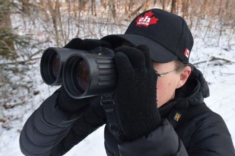 Patiently observing birds through binoculars in a snowy landscape, this moment captures slow birding in Canada. Mindful, respectful wildlife travel deepens connections while ensuring ethical, low-impact encounters with nature.