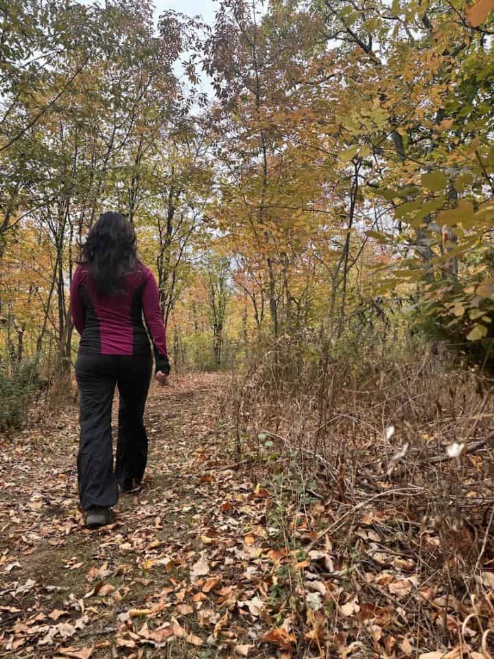 Forest Bathing at Point Traverse. A wellness guide to restoring energy through nature in Prince Edward County