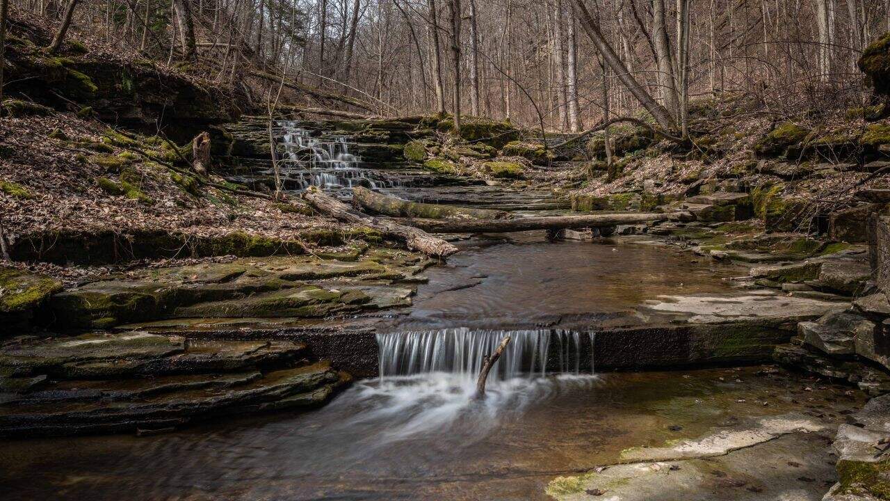 On The Bruce Trail at Short Hills Provincial Park