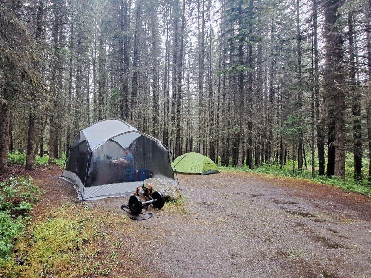 A large campsite at the Bowron Lake Provincial Campground. The campers have set up their tent in the distance with a large popup shelter in the foreground to keep dry from the rain that is falling.