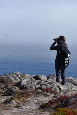 Pairing fresh brewed coffee with outdoor exploration in St. John’s, Newfoundland — from hiking coastal trails to strolling urban paths, the city’s cafés fuel every adventure.