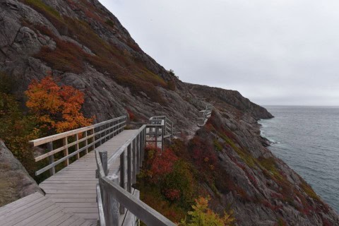 Hiking the scenic North Head Trail in St. John’s, Newfoundland, with breathtaking coastal views and colourful Battery neighbourhood in the distance — a perfect route to enjoy before or after coffee at The Battery Café.