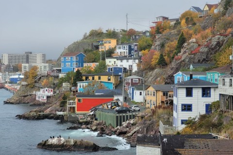 Vibrant jellybean-coloured houses of the historic Battery neighbourhood in St. John’s, Newfoundland, set against coastal scenery — the perfect backdrop for exploring and visiting The Battery Café
 for coffee and local treats.