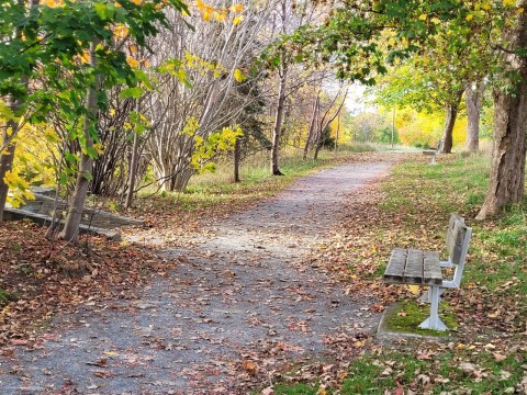 Rennie’s River Trail highlights why it ranks among the Best Day Hikes in St. John’s Newfoundland Canada, offering a peaceful riverside walk through the city that blends urban scenery, nature connection, and easy, family-friendly adventure.