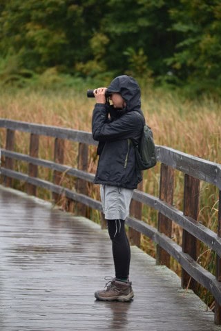Designated as an Important Bird Area, the Quidi Vidi Lake Loop Trail offers excellent wildlife viewing opportunities, making it a rewarding urban hike for bird watchers, photographers, and nature lovers visiting St. John’s, Newfoundland.