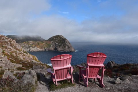 From Ross’ Valley to Signal Hill, the North Head Trail provides breathtaking panoramas of St. John’s harbour and the Atlantic Ocean, perfect for hikers, photographers, and anyone seeking an easy escape into urban nature.