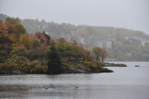 Encircling one of the city’s most scenic freshwater lakes, the Quidi Vidi Lake Loop Trail in St. John’s, NL provides a flat, well-maintained path ideal for walking, jogging, bird watching, and peaceful outdoor exploration.