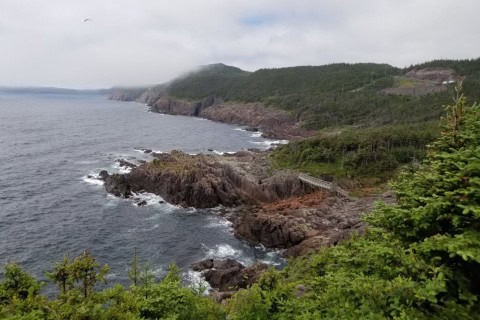 Sugarloaf Path offers dramatic cliffside vistas, rocky terrain, and wild Atlantic landscapes near St. John’s, Newfoundland. Hike this section for unforgettable nature, historical landmarks, and panoramic ocean views.