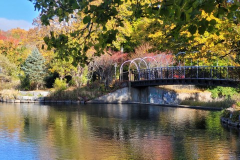 Follow the T’Railway Trail in St. John’s, NL for a gentle hike along a converted railway corridor. This section connects to Bowring Park and the larger Trans Canada Trail network, ideal for slow travel.