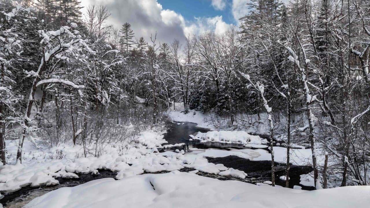 Winter, Below Stubbs Falls