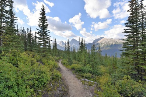 A mountain trail in British Columbia represents the Trans Canada Trail’s western routes, where forested valleys, alpine terrain, and rugged elevation changes create some of the most scenic and challenging sections.