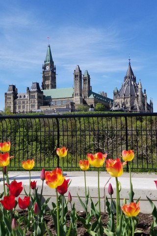 Parliament Hill in Ottawa highlights how the Trans Canada Trail connects Canada’s capital and major cities, blending urban pathways, cultural landmarks, and everyday life within a national coast-to-coast-to-coast network.