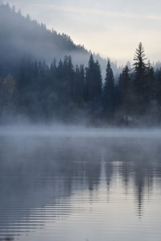 A misty lake landscape captures the quiet beauty of the Trans Canada Trail, where travellers experience Canada’s natural environments firsthand, from remote wilderness to peaceful waterways and reflective moments in nature.